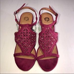 Yellow Box Cranberry Wedges